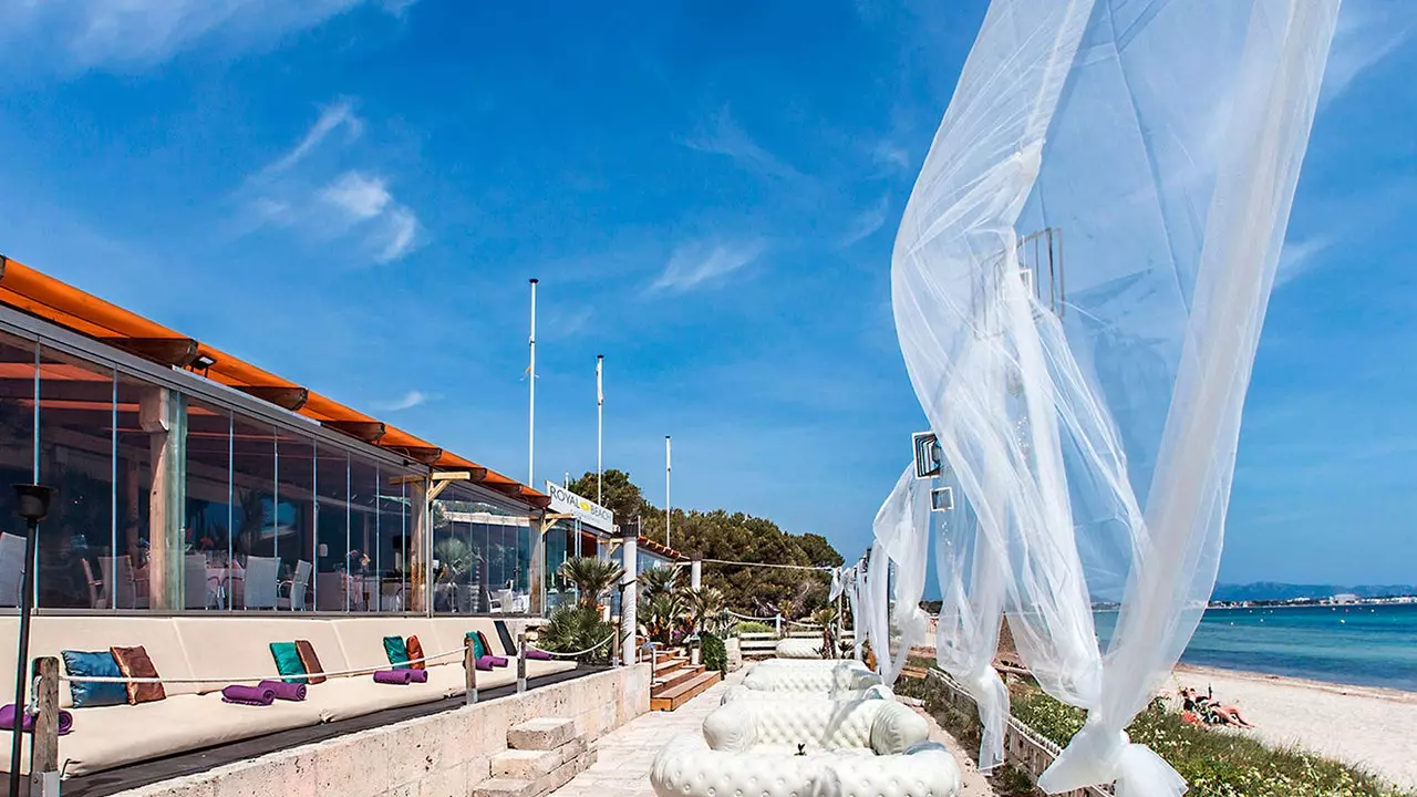 De perfekte Strandclub: Royal Beach zu Playa de Muro, Mallorca