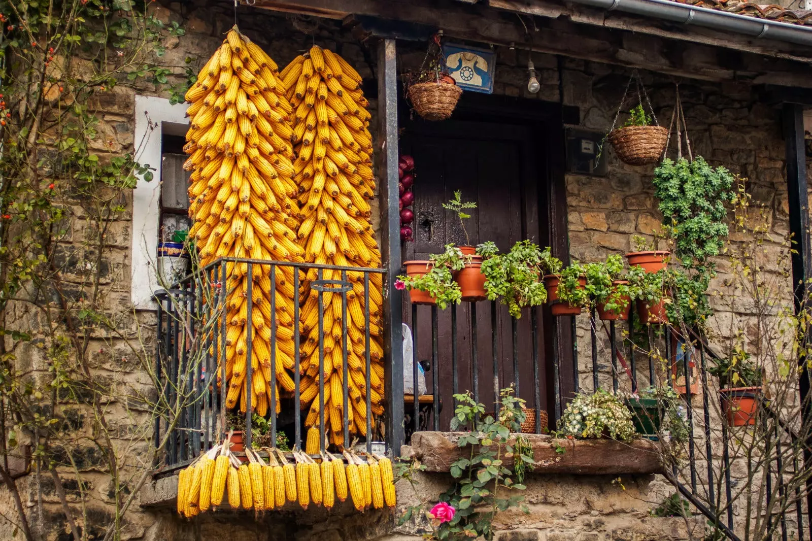 Carmona'daki kırsal evler.