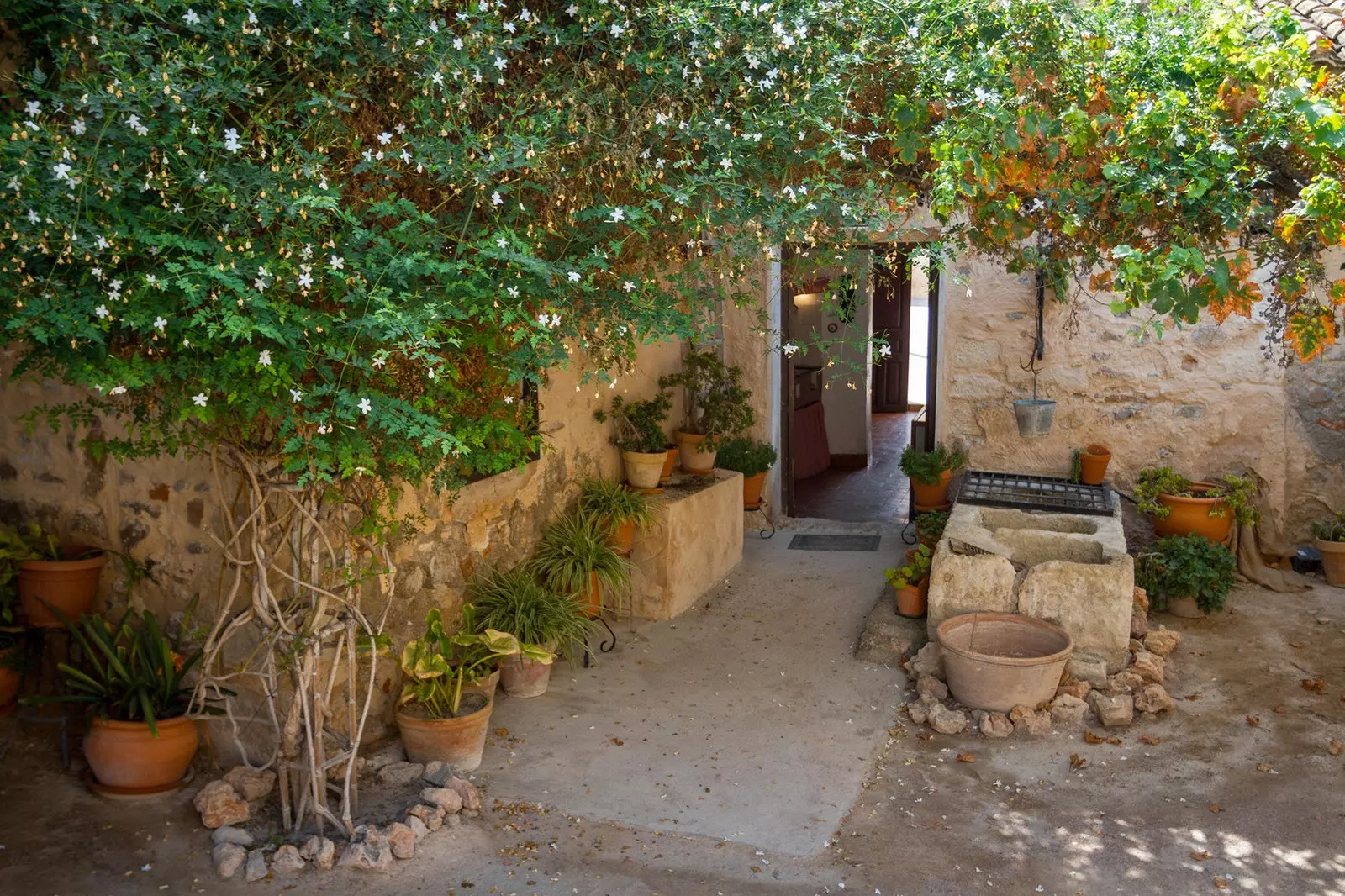 Maison avec cour Miguel Hernndez Orihuela