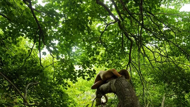 Mia Berg: de fotograaf van rebelse en natuurlijke intimiteit