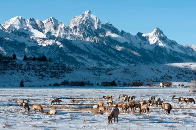 Del sol californià a la neu a sis estats i un dia