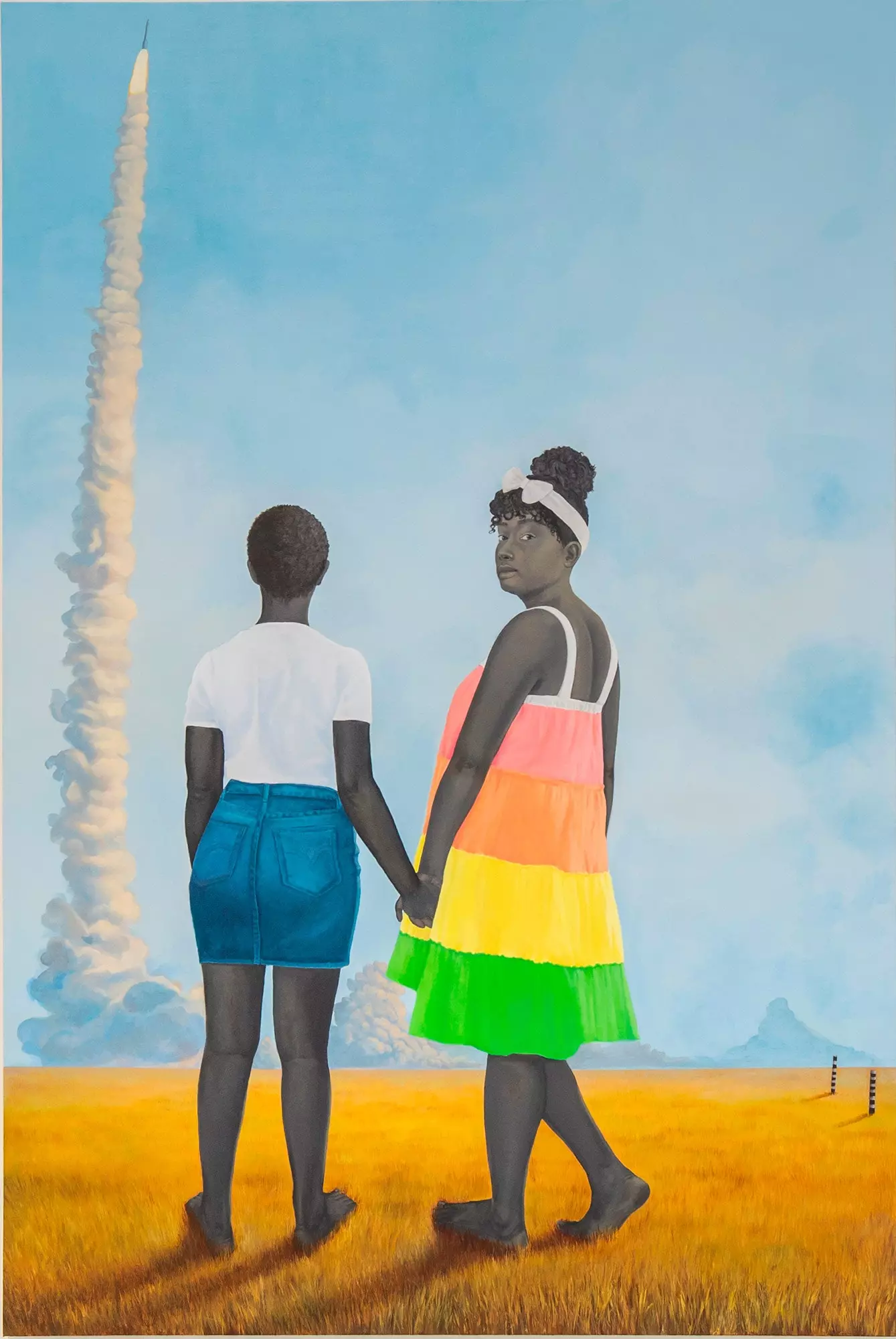 Avions coets i espais intermedis d'Amy Sherald