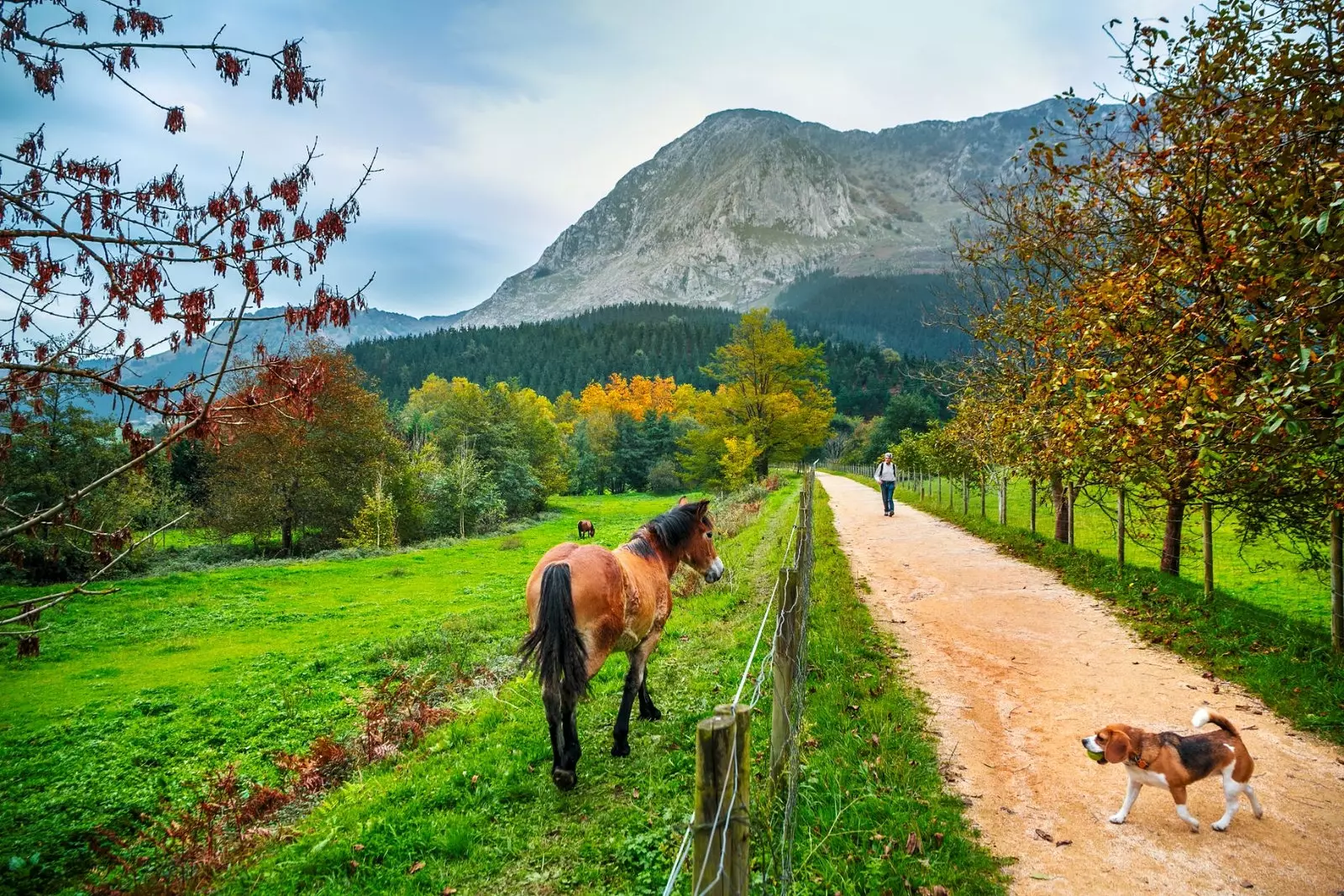 Atxondo ბუნებრივი პარკი Urkiola Green ესპანეთი