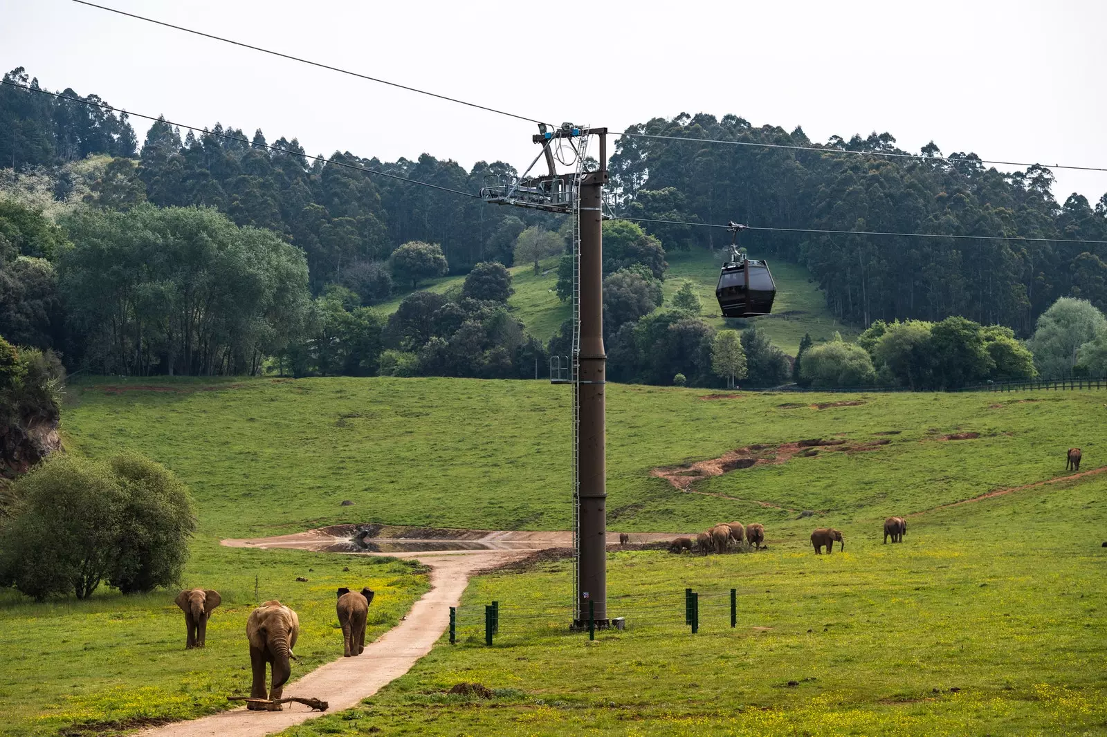 Parcul Natural Cabrceno Cantabria