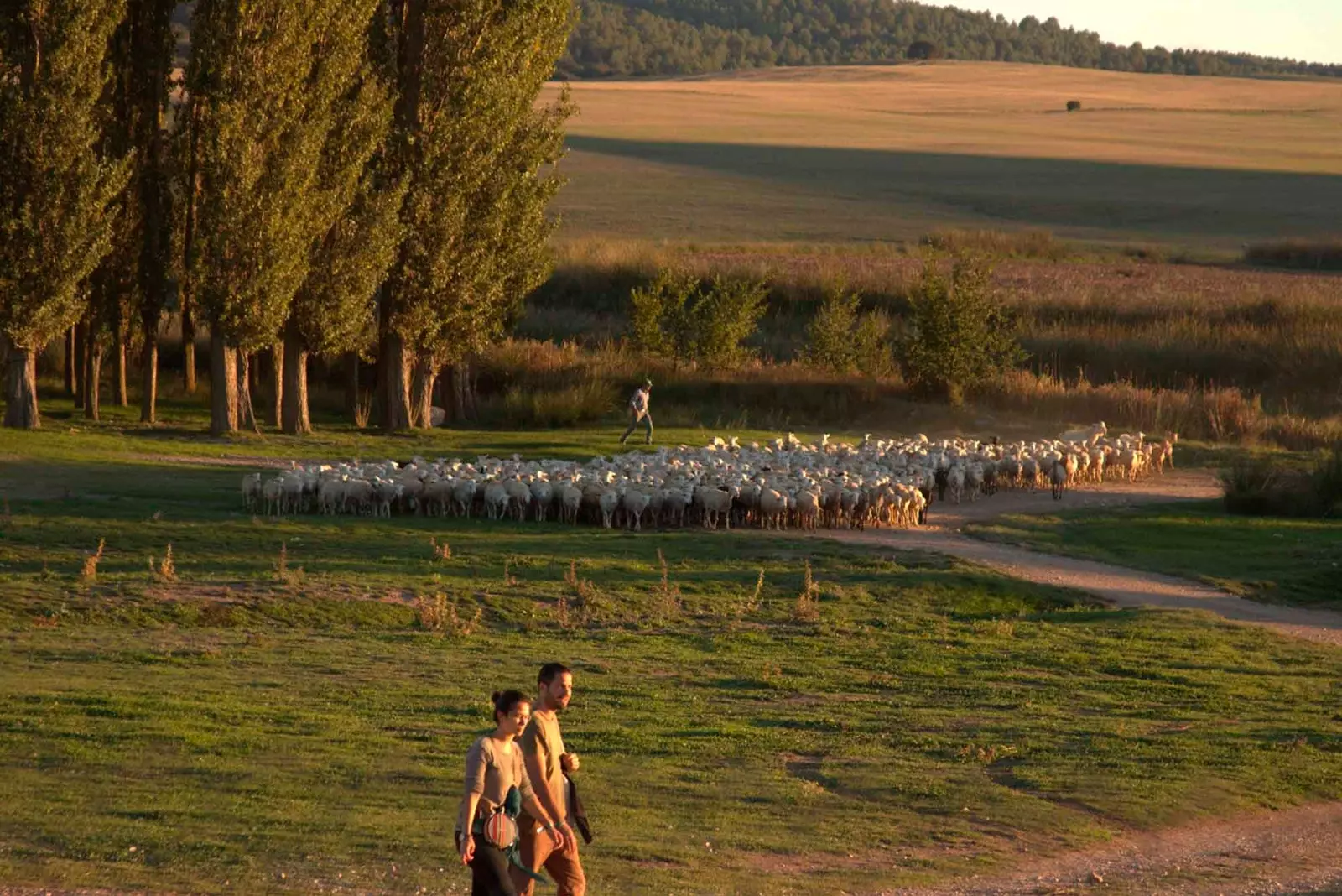 DUE PERSONE CHE CAMMINANO INTORNO A UNA MONTAGNA AL ReGeneration Festival