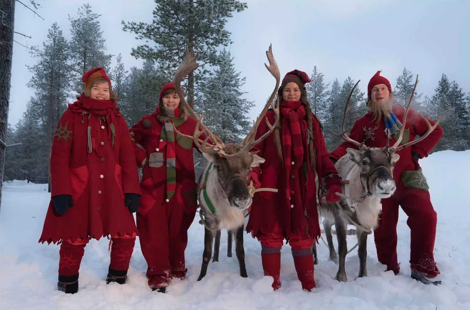 elves sa lapland