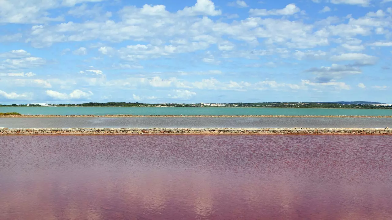 Ses Salines табиғи паркін пайдалану және ләззат алу бойынша нұсқаулық (Форментерадан)