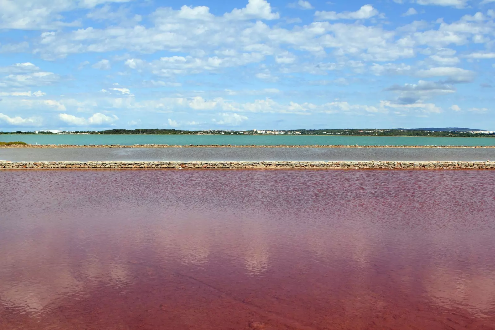 Ses Salines