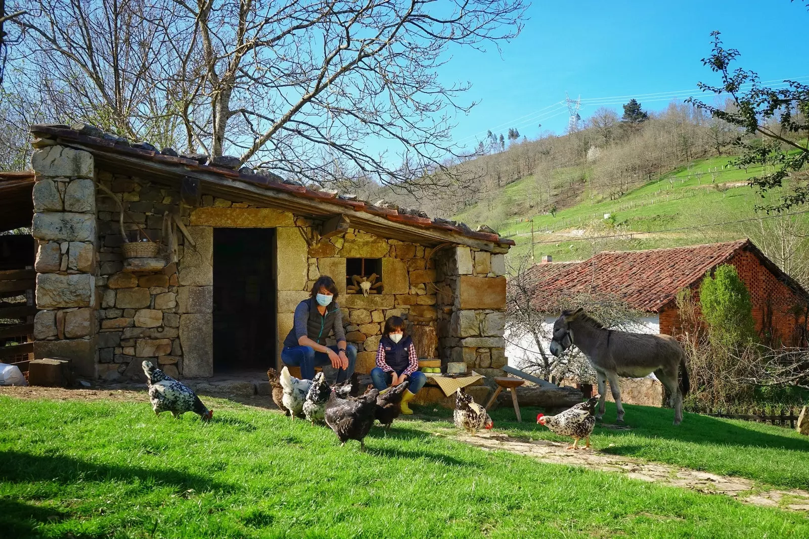 Practica la Natura per als Sentits i uneix-te al turisme sostenible