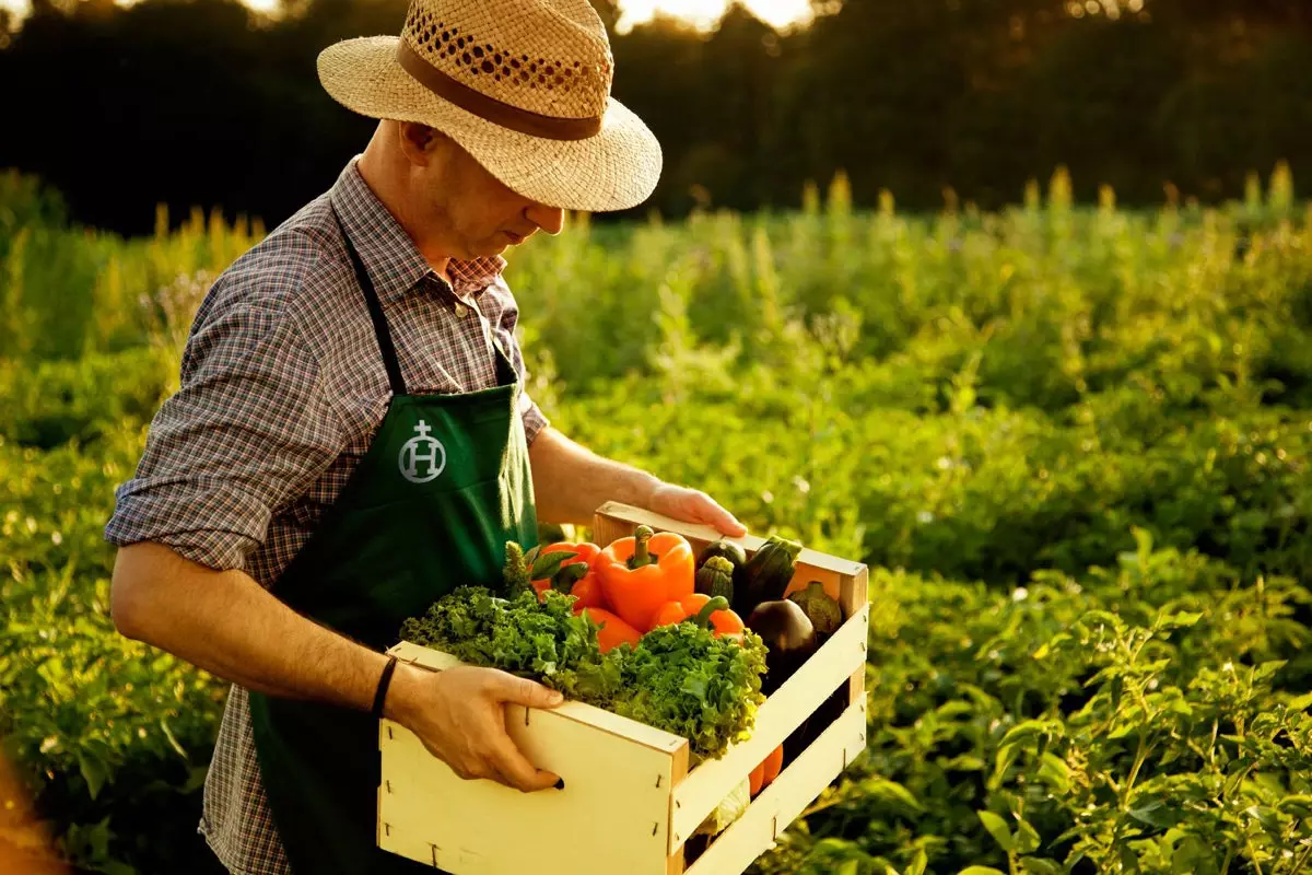 Ода натуральному продукту