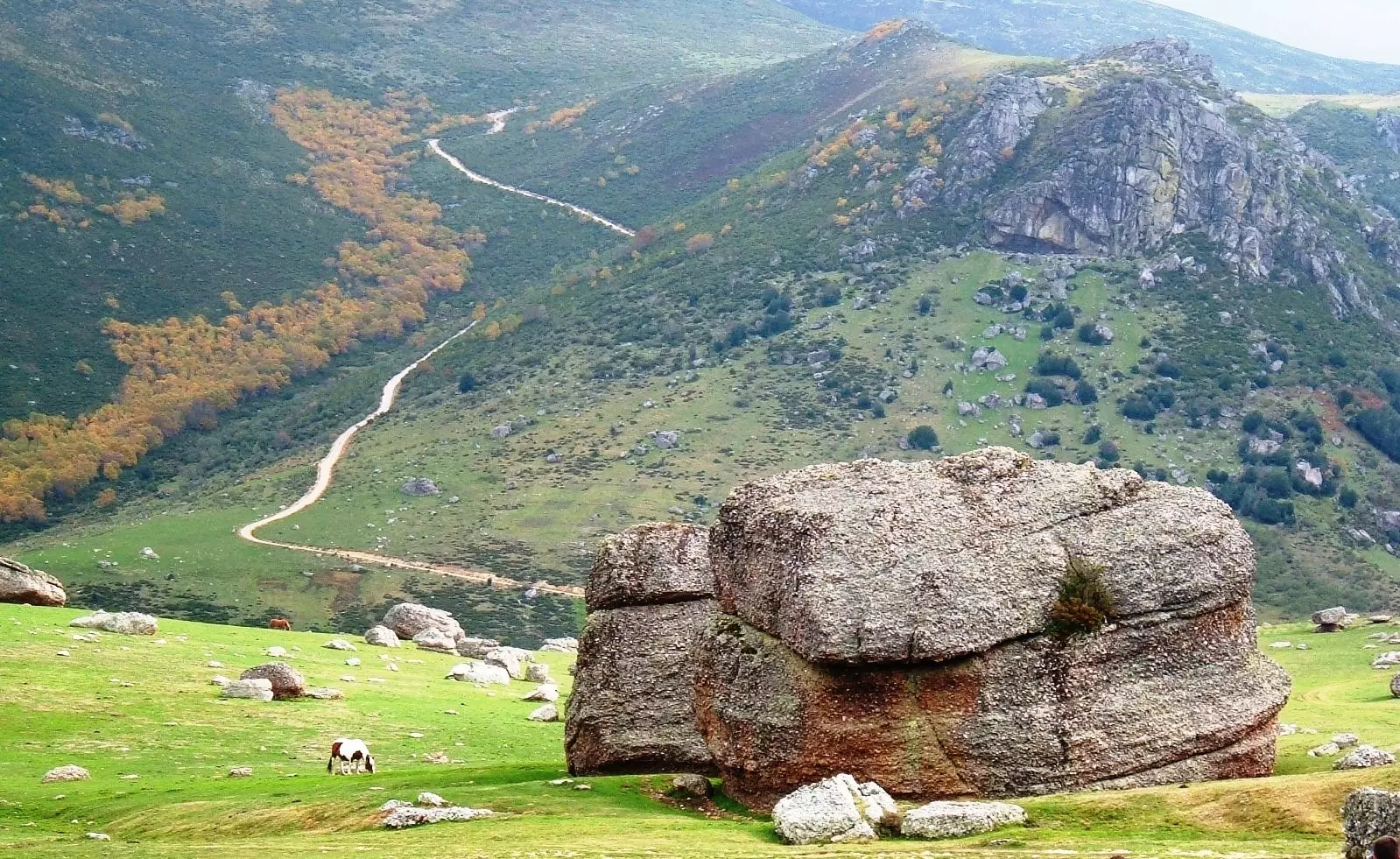 Песме магарца у луци Сејос