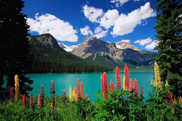 Emerald Lake η μεγαλύτερη στο Εθνικό Πάρκο Yoho στον Καναδά