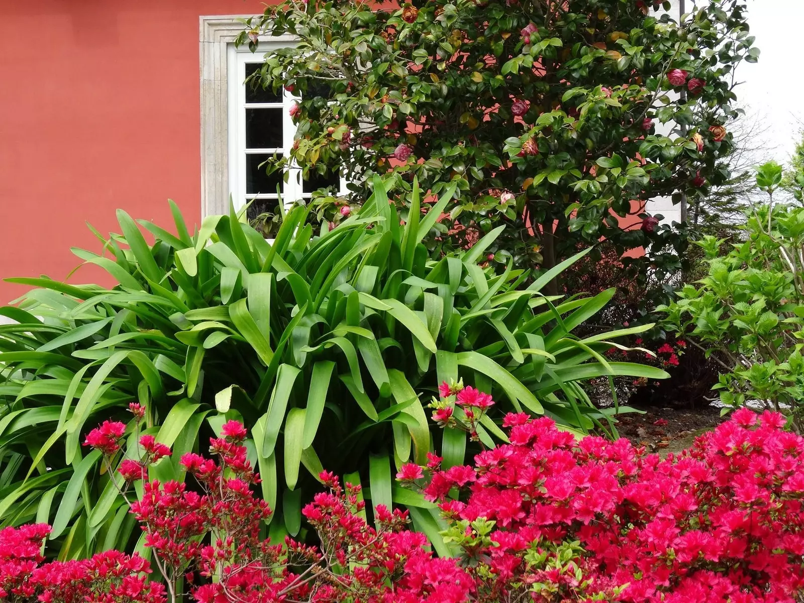 Caribbean nampaknya mewakili La Casa de la Paca.