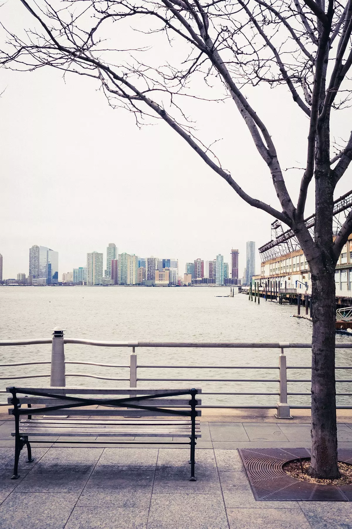 Bank mit Blick auf den Hudson Pier, wo Helena oft mit ihrem Hund Kuma joggt