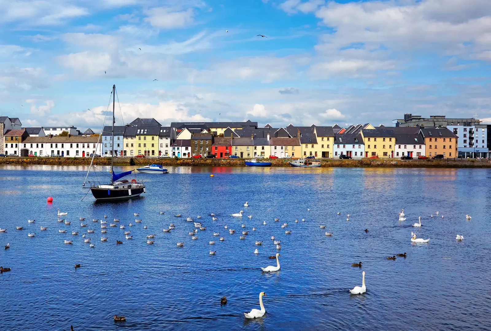 Galway 2020 ledakan budaya Irlandia