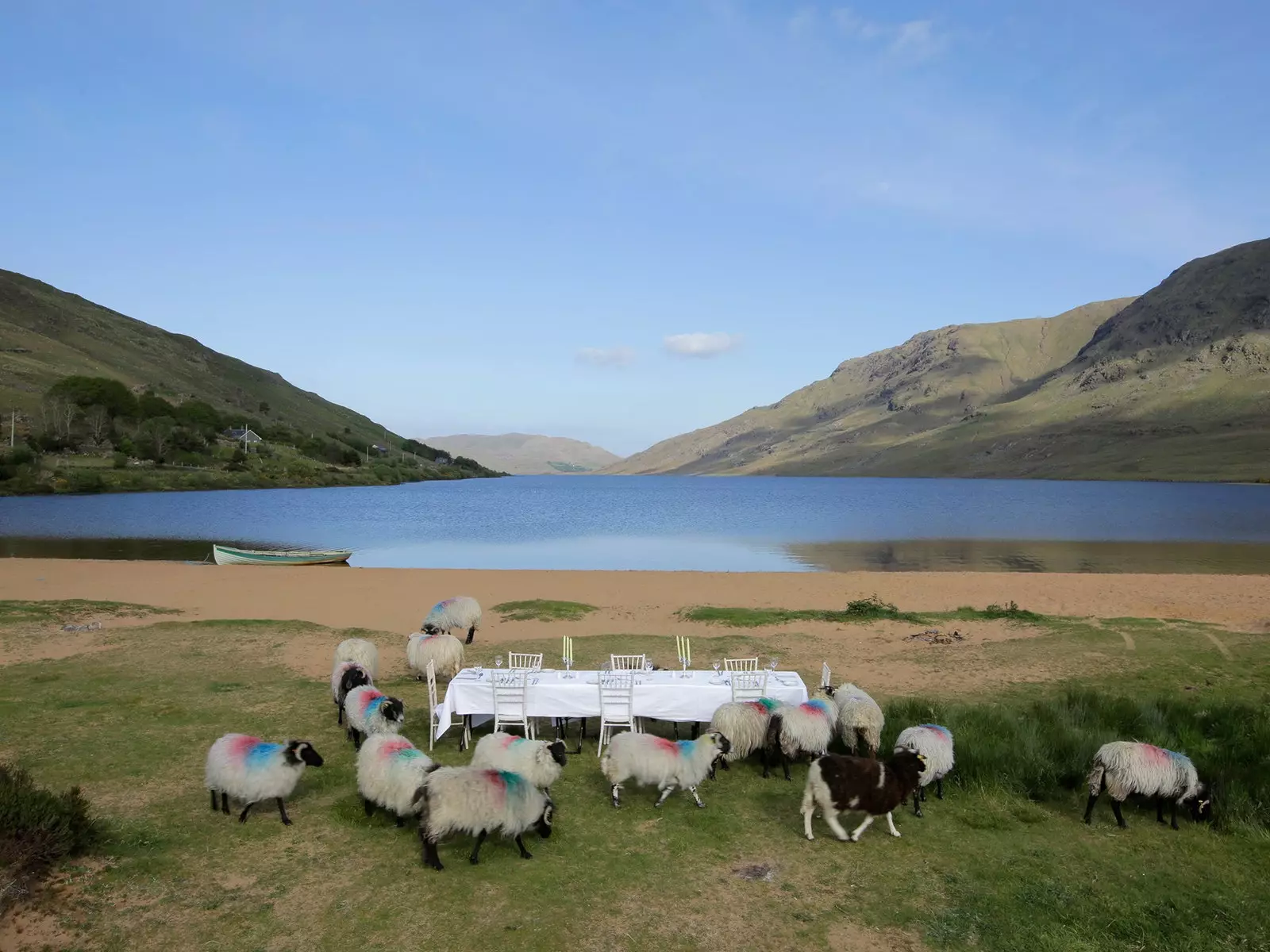 This project celebrates the cultural economic and environmental contribution of sheep to Ireland