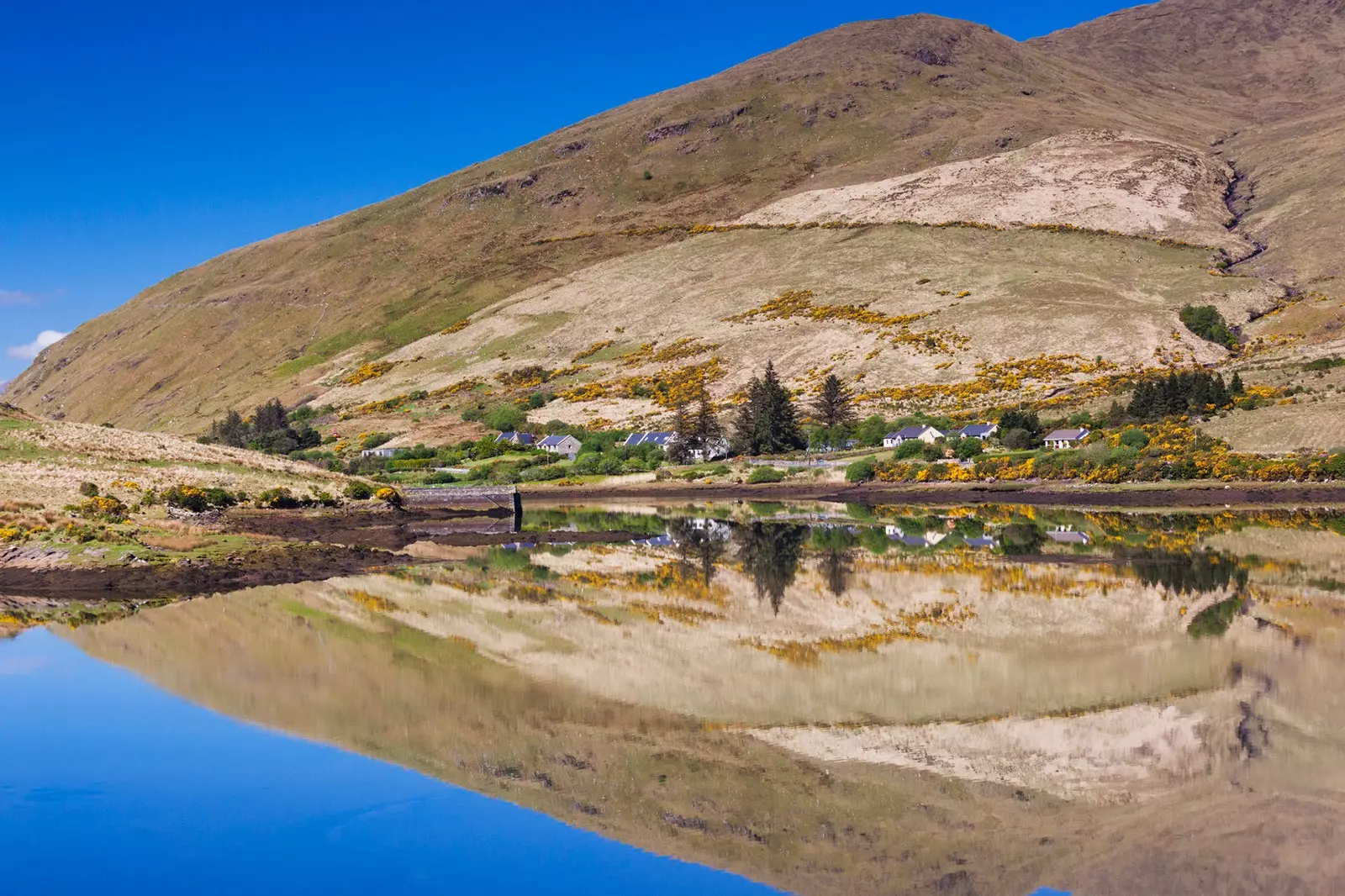 Leenane