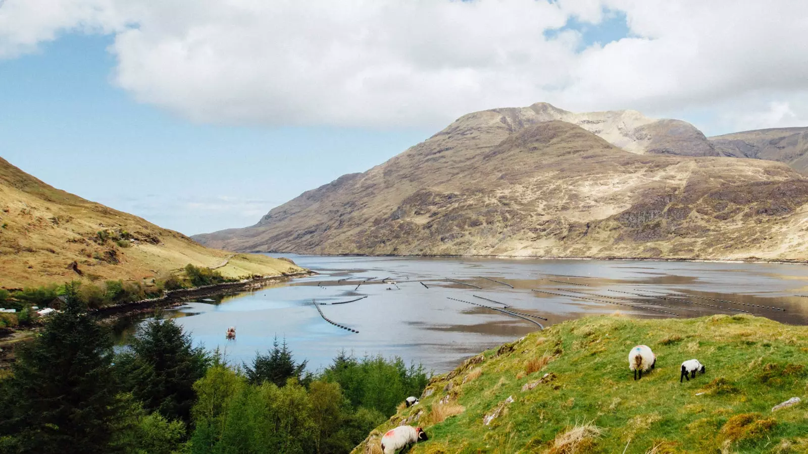 Killary Fjord