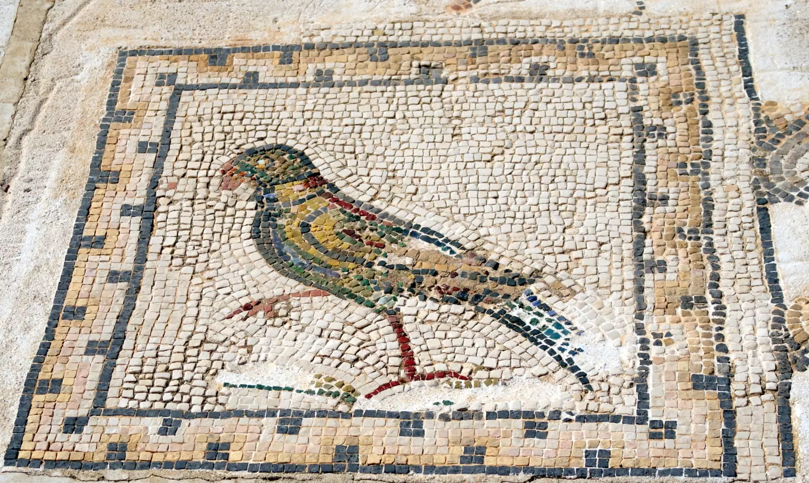 Il Mosaico degli Uccelli è il più conosciuto e apprezzato di Itlica.