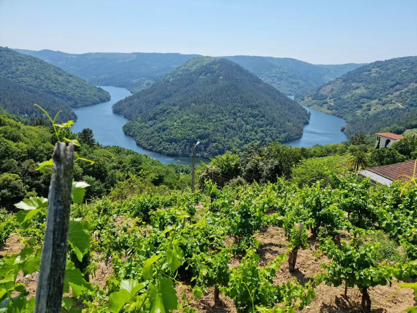 Vinice Ribeira Sacra