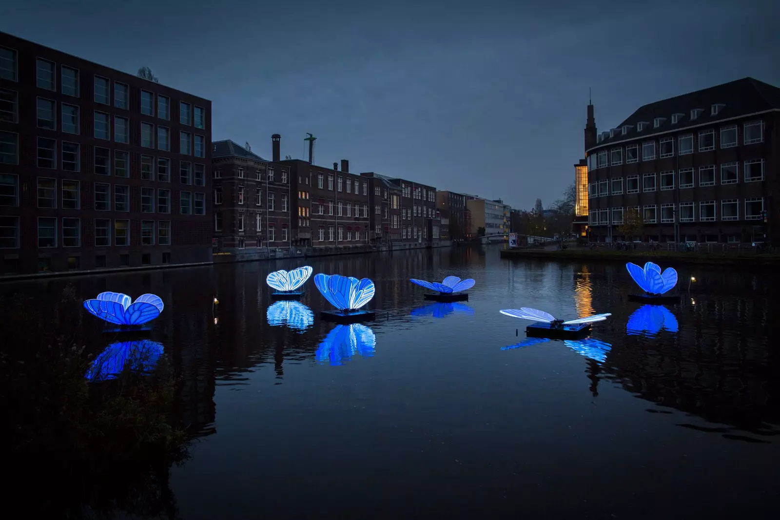 Amsterdam Light Festival တွင် Masamichi Shimada ၏ 'Butterfly Effect'