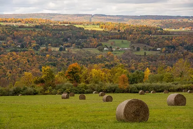 Fómhar i Ithaca conas nach féidir leat ag iarraidh a teleport