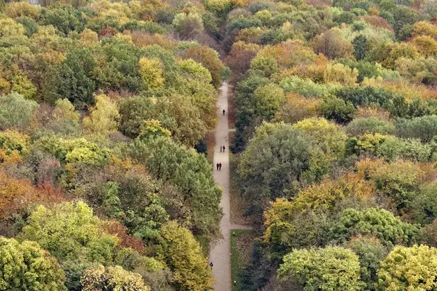 tiergarten