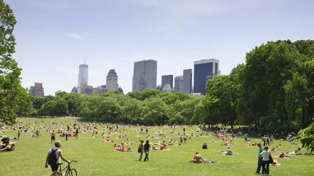 16 summer plans that you can only do in New York