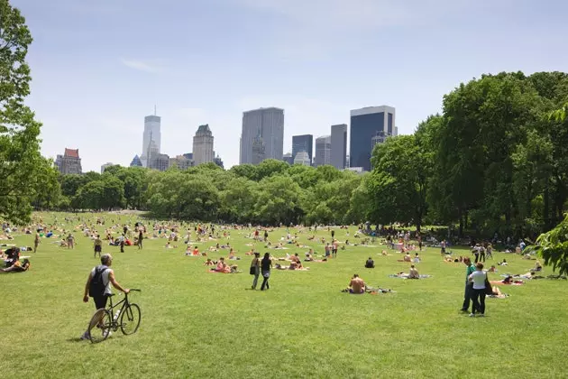 zomer centraal park