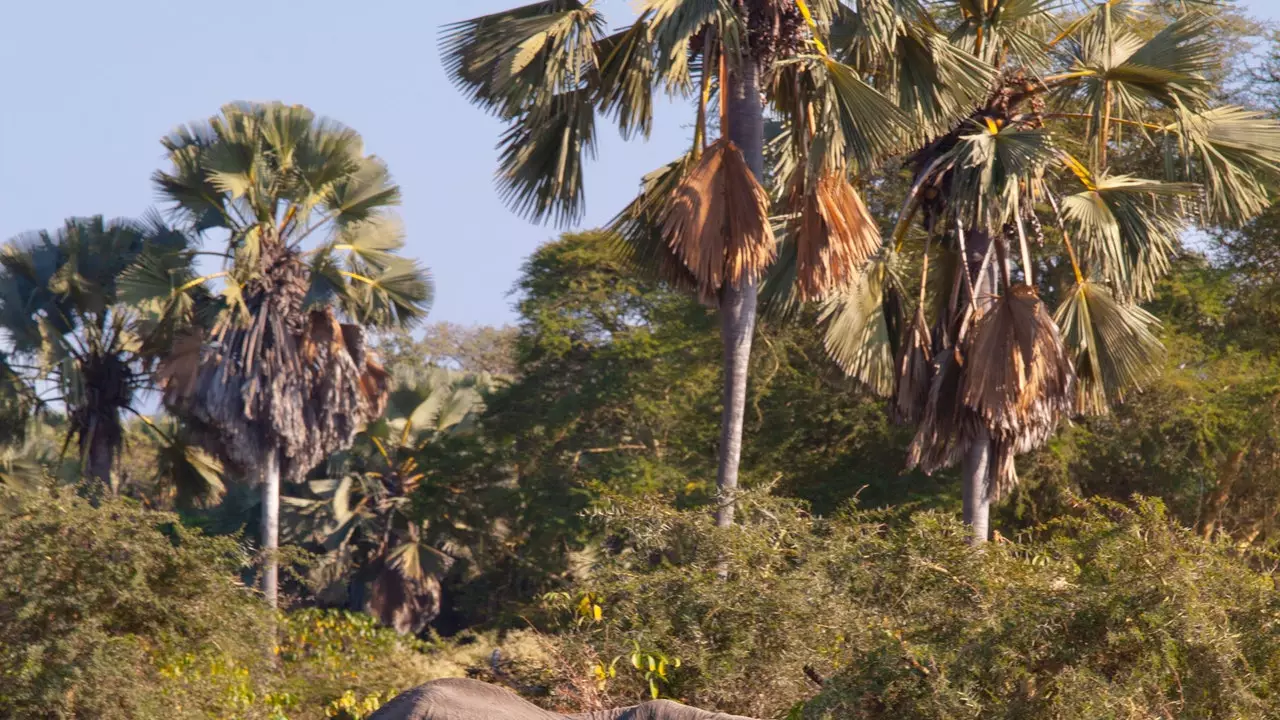 Malawi: dronningen av Afrika