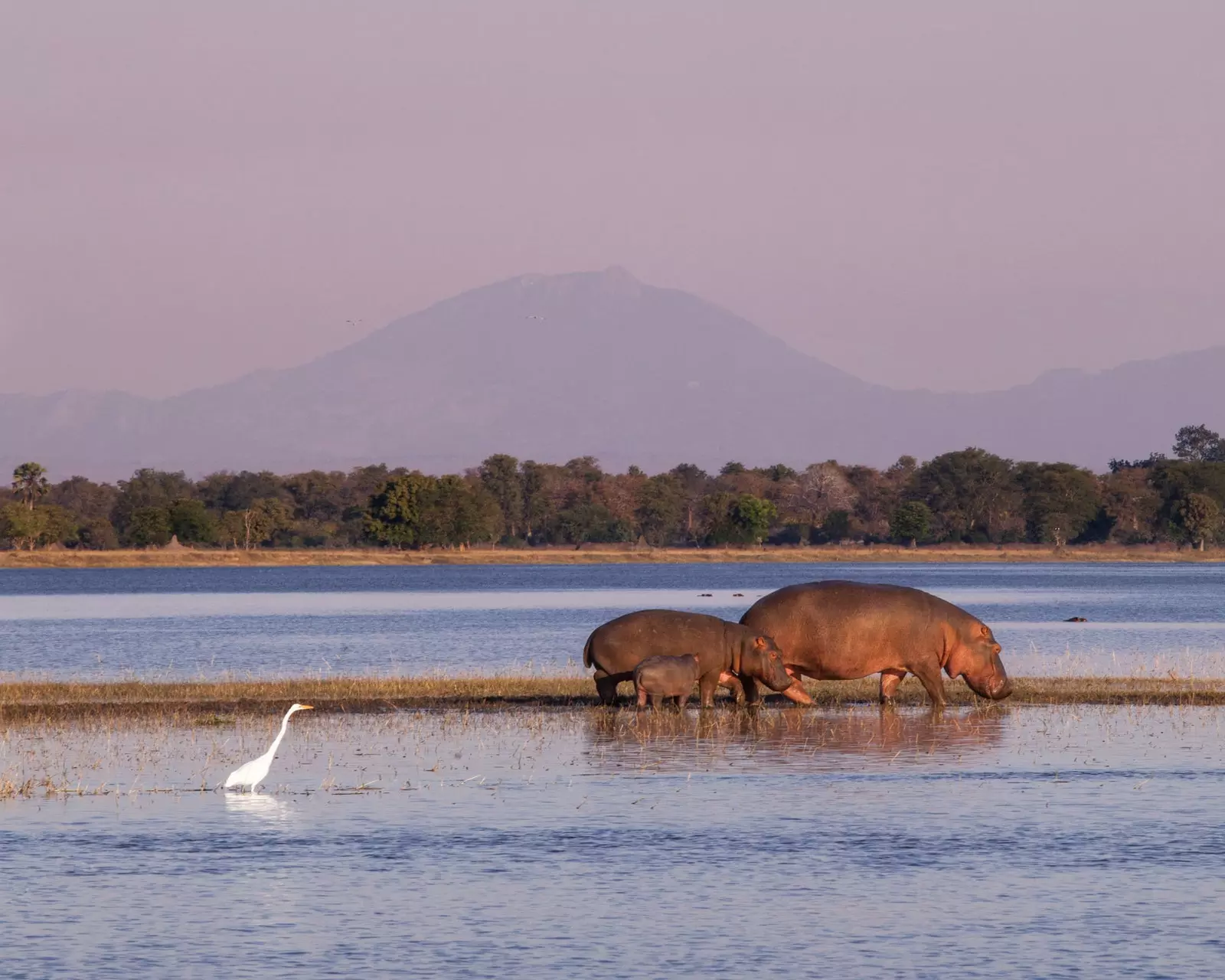 malawi