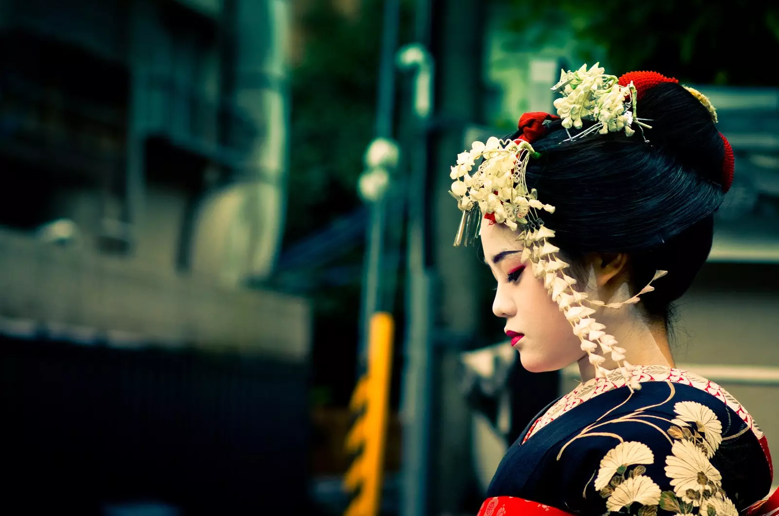 Porträt einer Geisha, aufgenommen auf den Straßen von Gion, dem historischen Viertel von Kyoto.