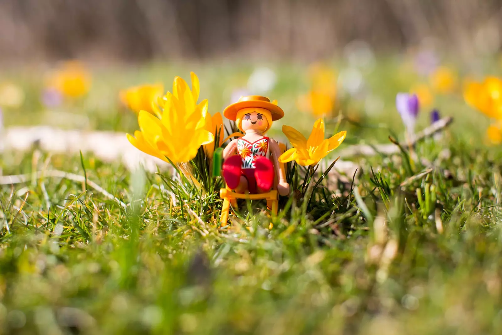 Playmobil dans un jardin