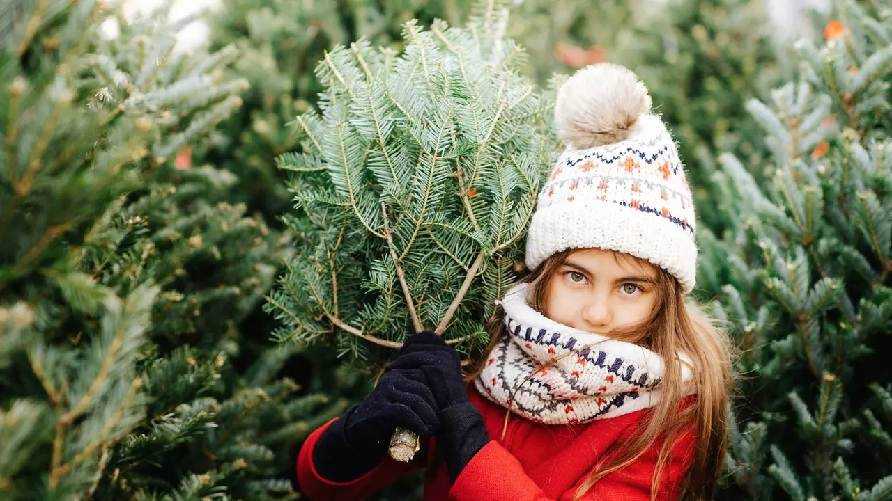 Diga-me como você está e eu lhe direi qual é a sua escapadela de Natal perfeita