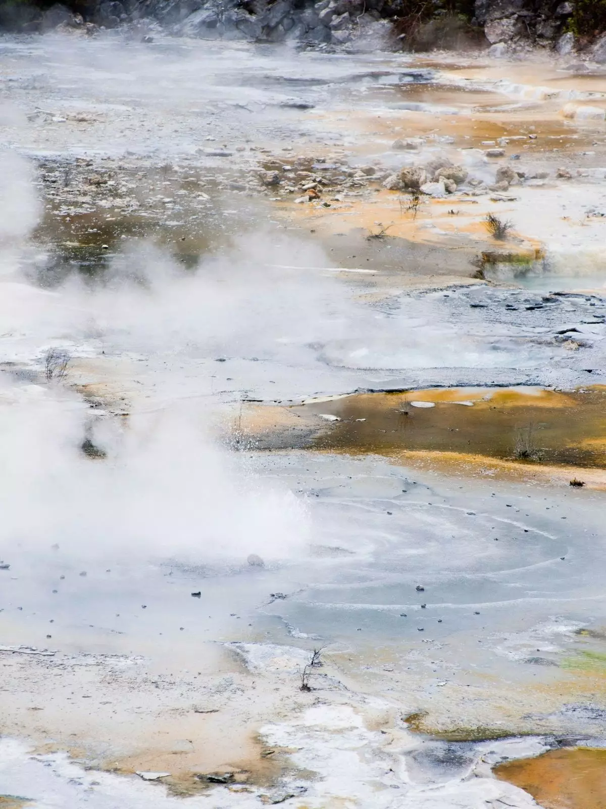 Kolam air panas di Taman Termal Orakei Korako.