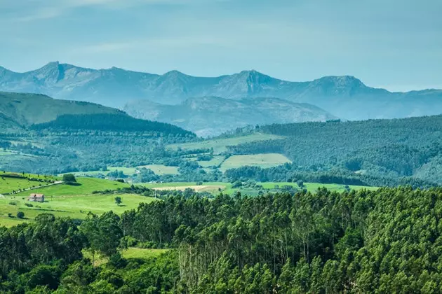 Կանտաբրիա