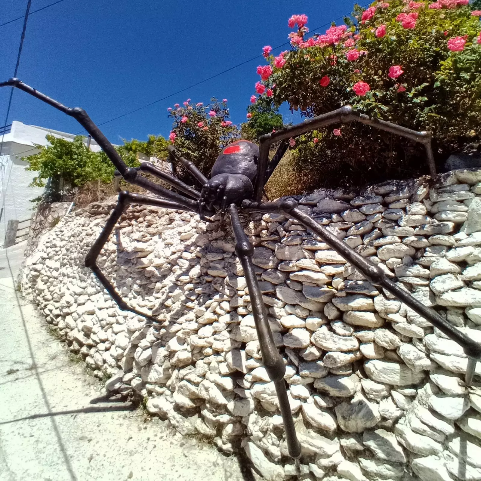 Soportújar ობობა La Alpujarra Granada-ში.