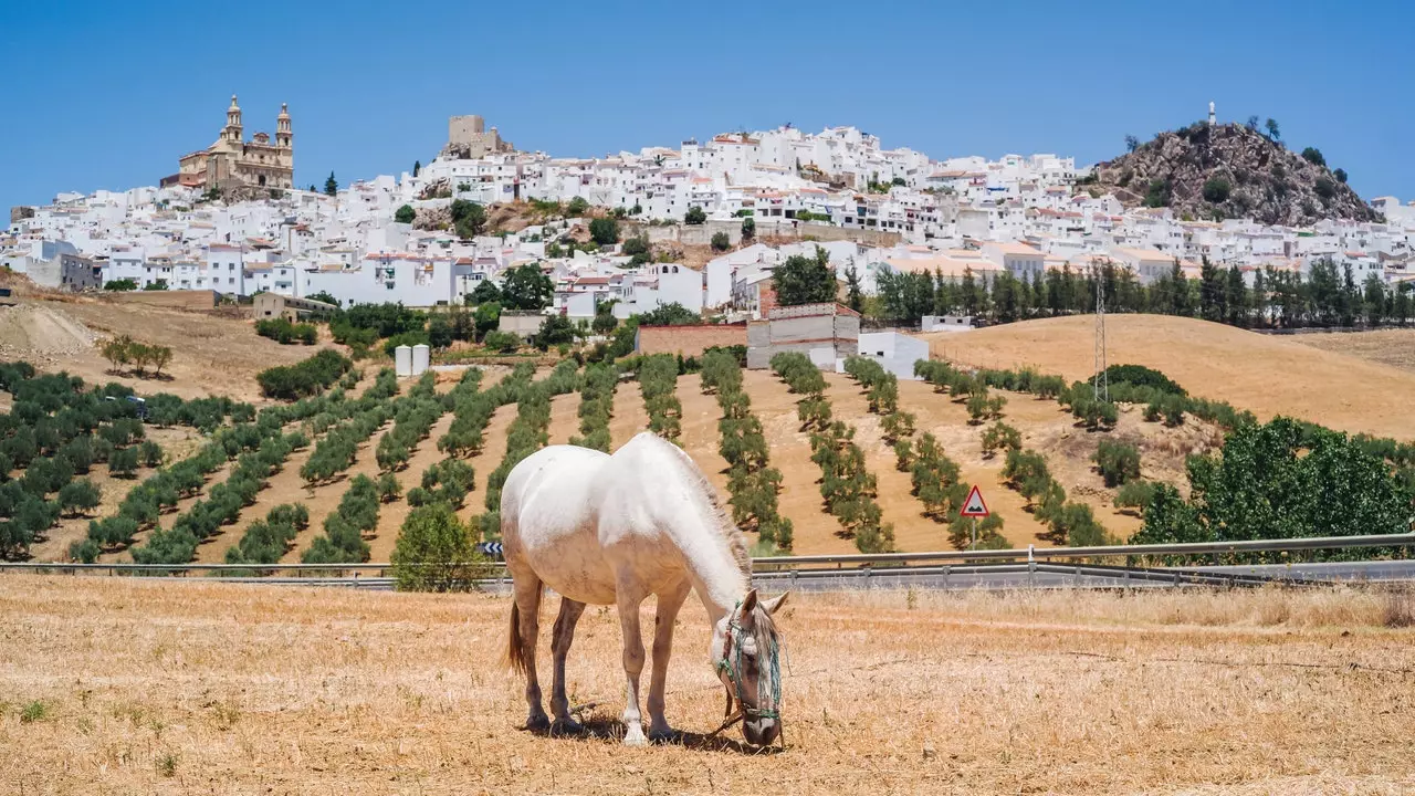 Oito cidades de Cádiz para desfrutar no outono