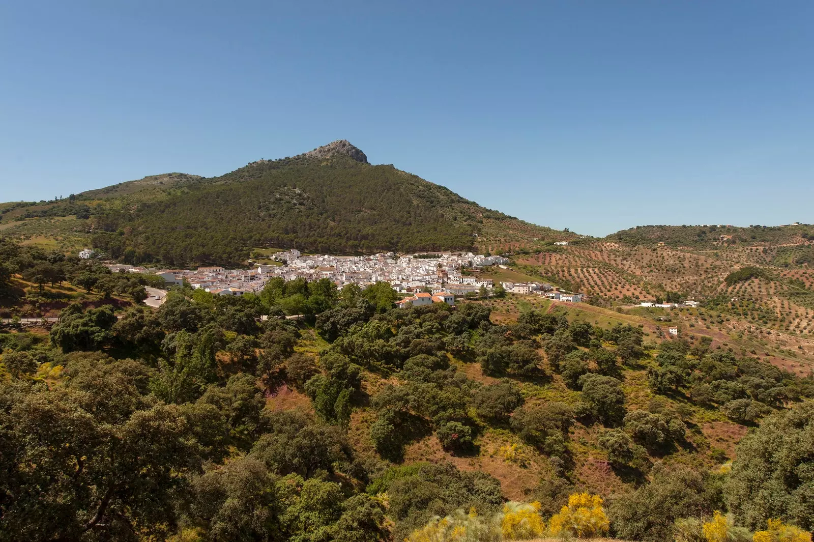 Pemandangan udara El Gastor di Cádiz.