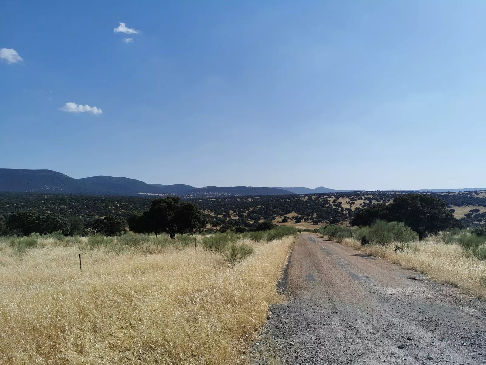 Camí de la Serra de la Umbria d'Alcúdia