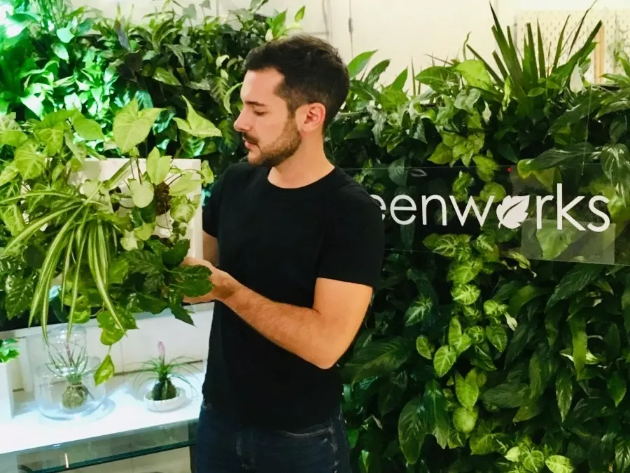 Greenworks Madrid