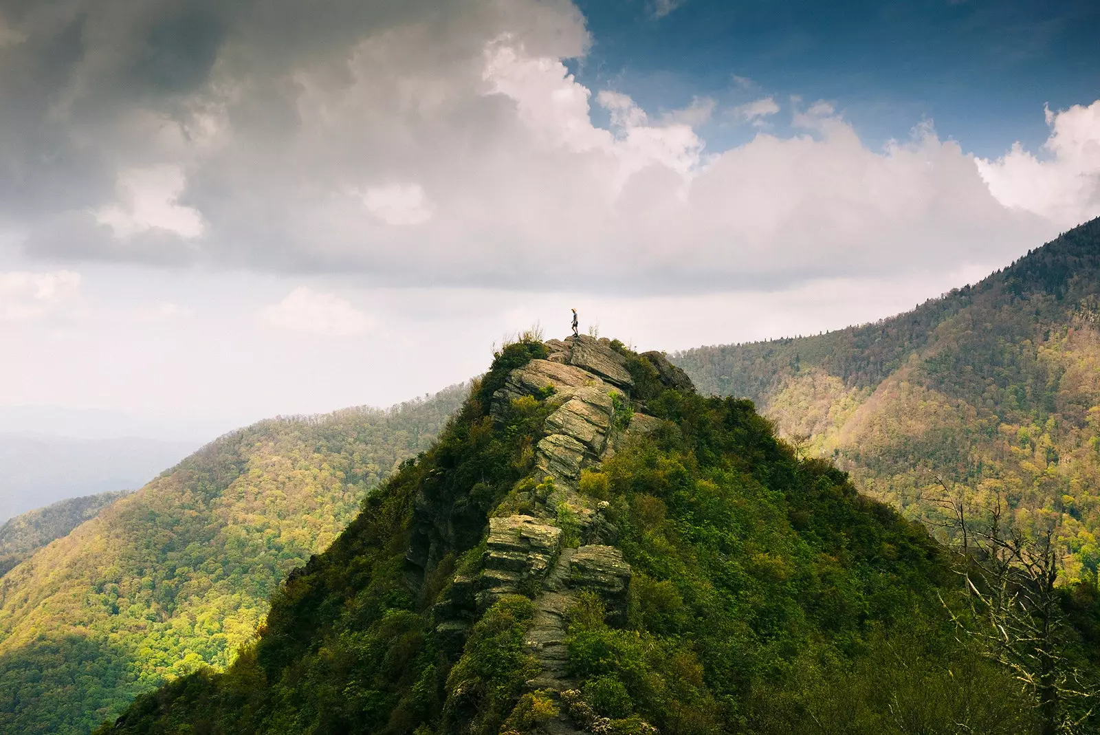 Great Smoky Mountains National Park l-aktar park nazzjonali li jżurhom fl-Istati Uniti fl-2018