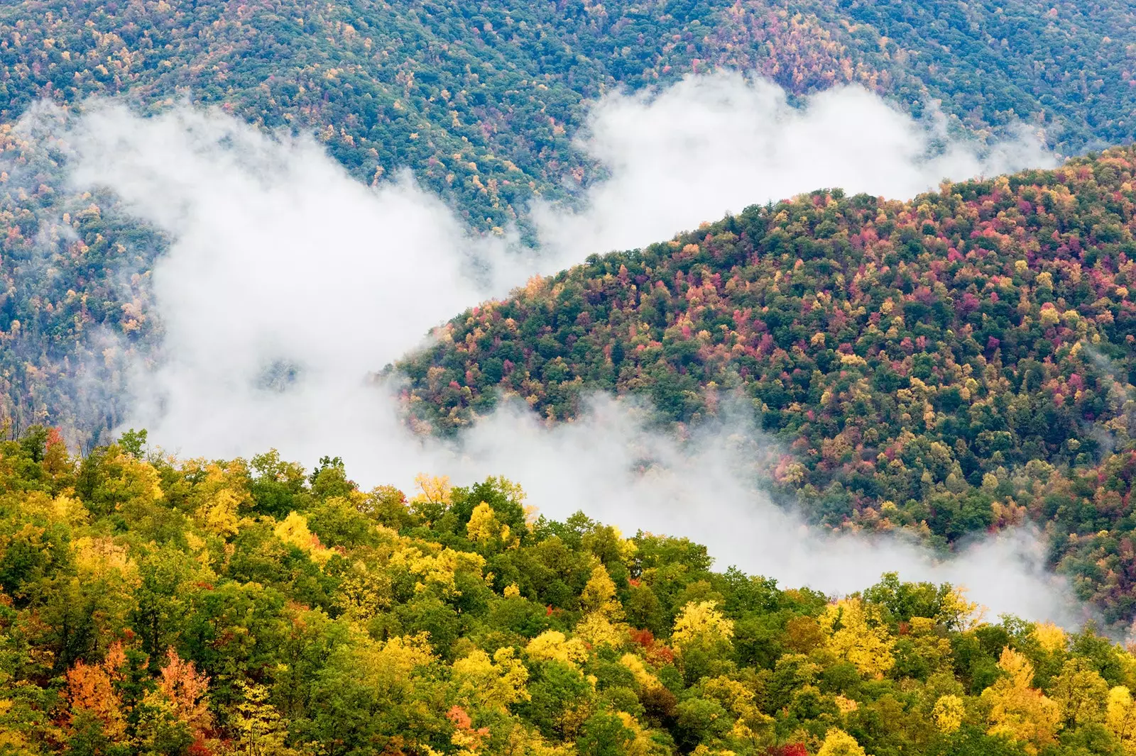 Националниот парк Great Smoky Mountains најпосетуваниот национален парк во САД во 2018 година