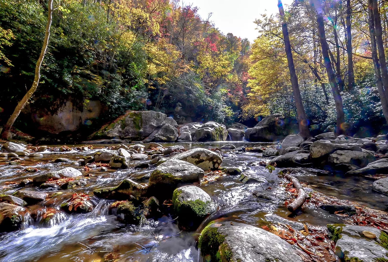 Great Smoky Mountains National Park den mest besøgte nationalpark i USA i 2018