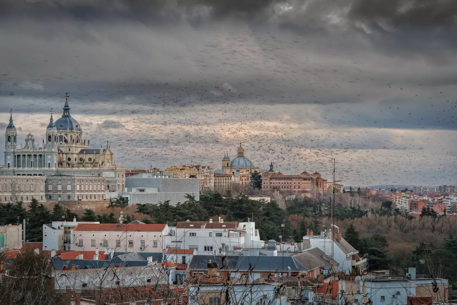 Hàng nghìn con chim sáo đá bay vào lúc hoàng hôn giữa Đền Debod và Cung điện Hoàng gia Madrid