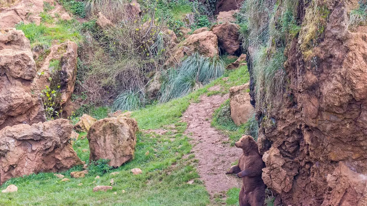 Je zult de meest magische en wilde herfst beleven in Cabárceno