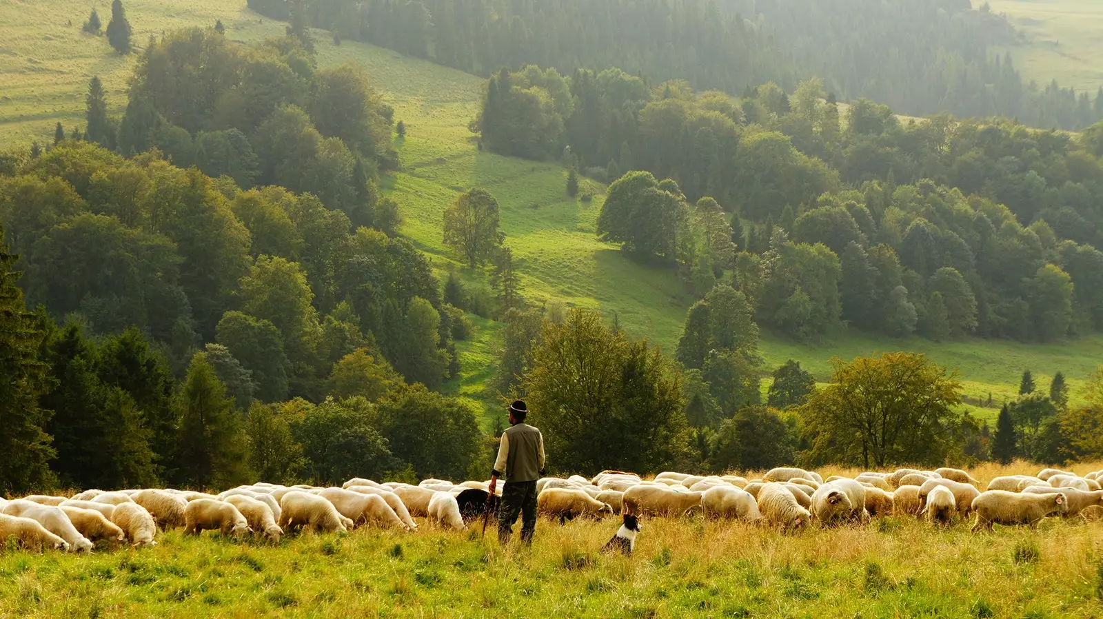 Vă întoarceți în oraș? Ei creează un site web pentru a vă ajuta să găsiți o casă în mediul rural