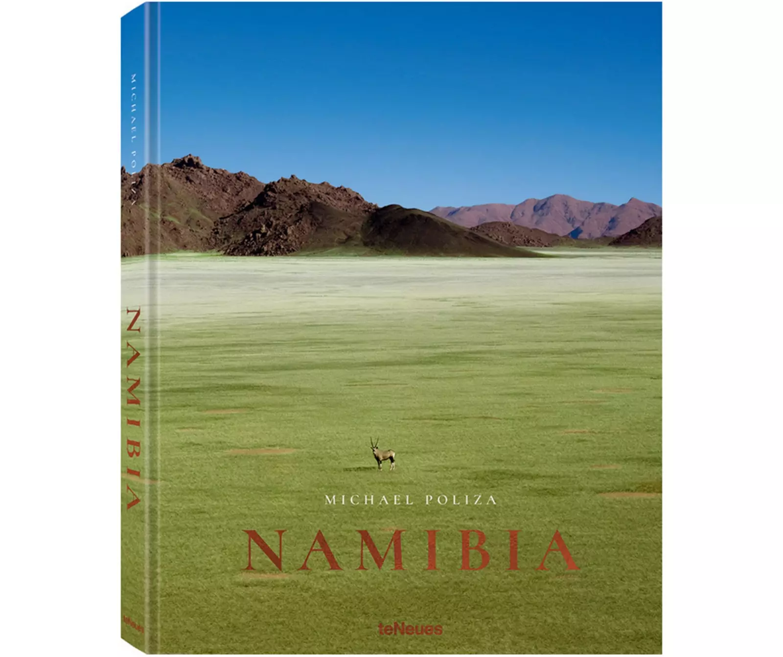 'Namibia' vum Michael Poliza