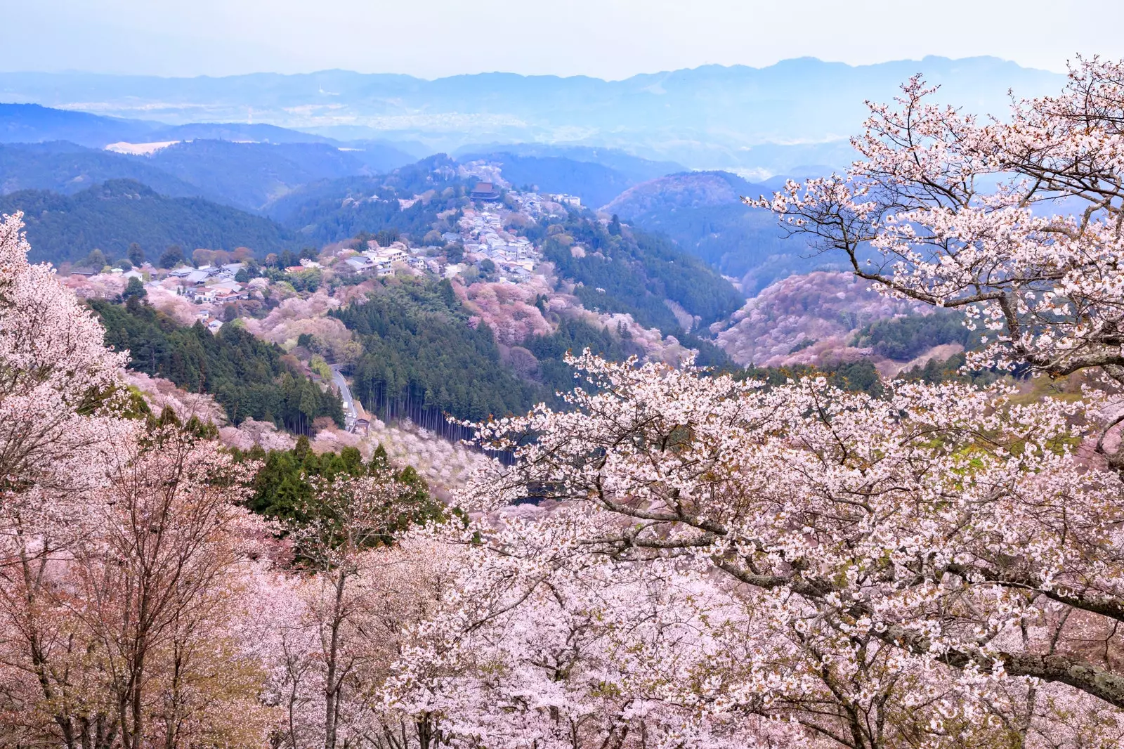 Mount Yoshino