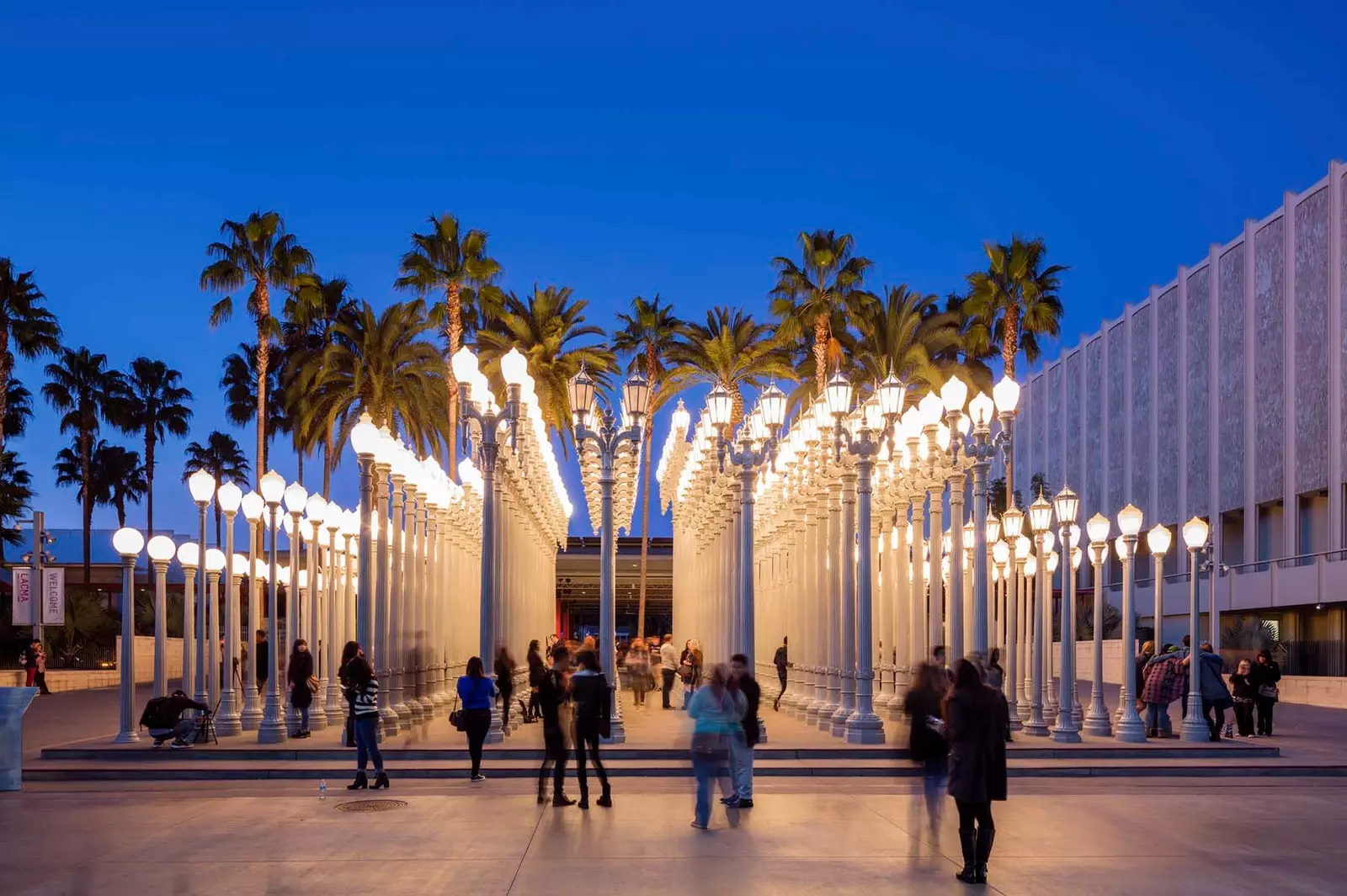 LACMA მუზეუმი ლოს ანჯელესში